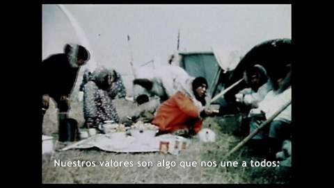 Never Alone - Documentales